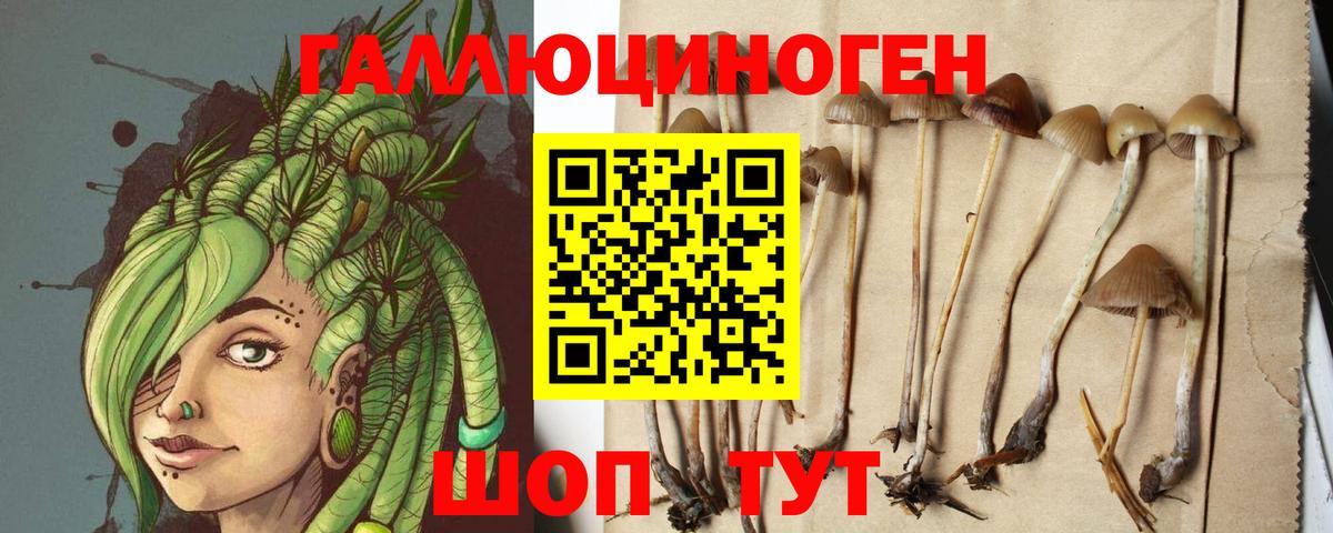 Псилоцибиновые грибы ЛСД  Галлюциногенные грибы GOLDEN TEACHER  даркнет сайт  Вход с VPN  Лабытнанги 